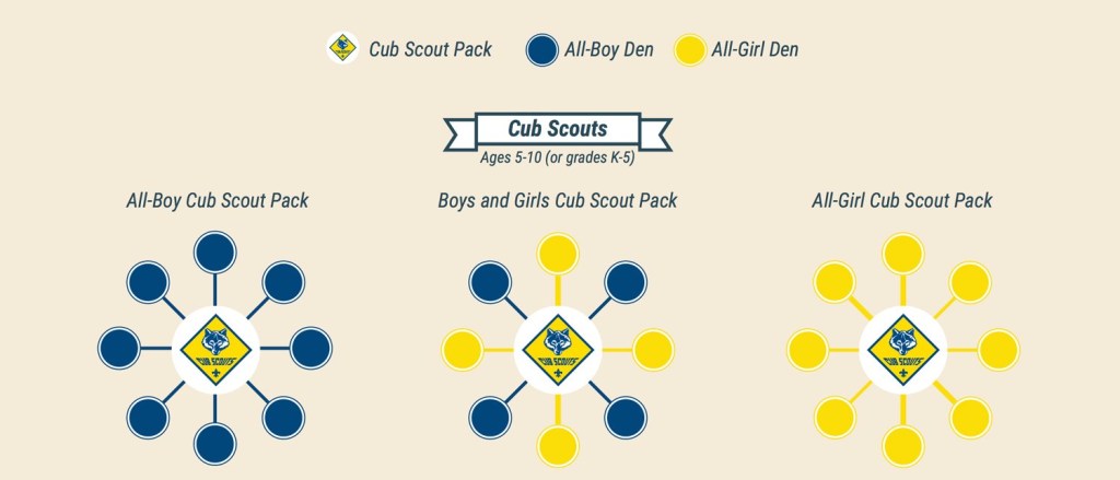 There will be three types of Cub Scout packs: all-boy packs, all-girl packs and packs that include a mix of girl dens and boy dens. Cub Scout dens will be single-gender: all boys or all girls.